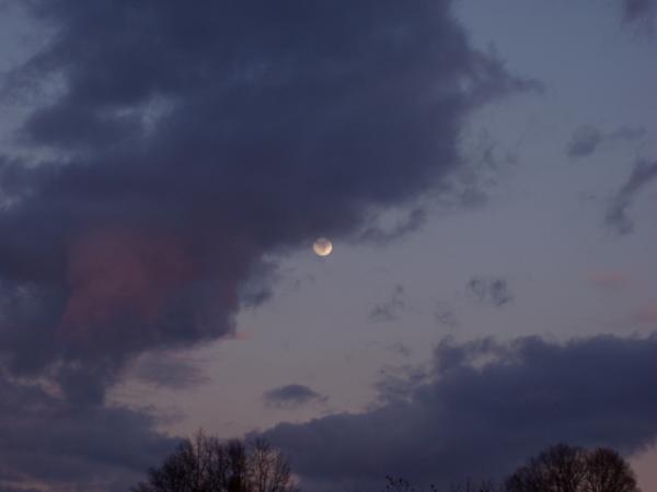 Die totale Mondfinsternis fand leider hinter Wolken statt. 