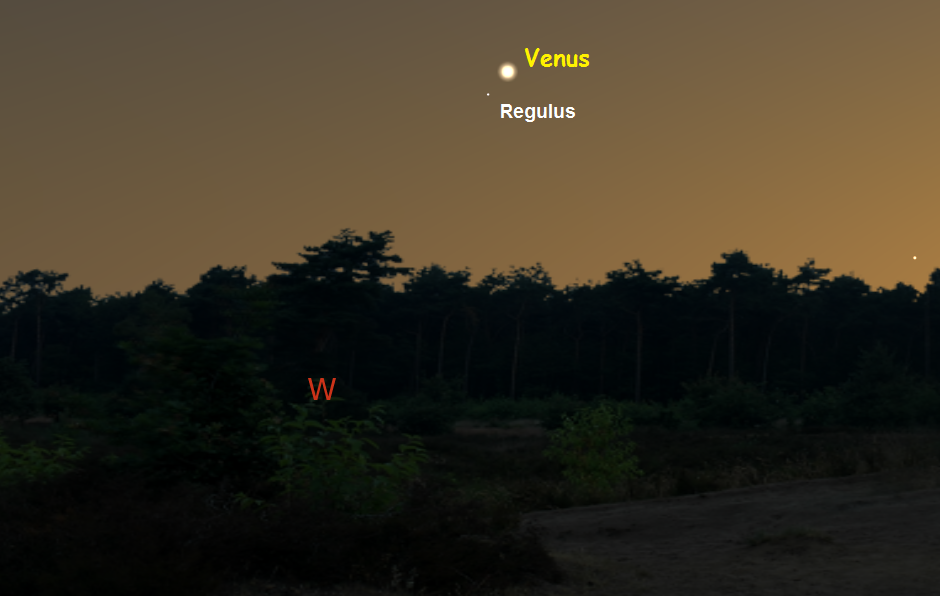 Venus Anfang Juli